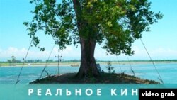 Реальное кино: Укрощение сада